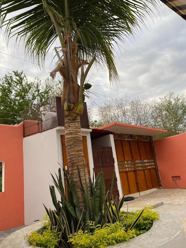 بويرتو إسكونديدو Casa Suites Minizoo المظهر الخارجي الصورة