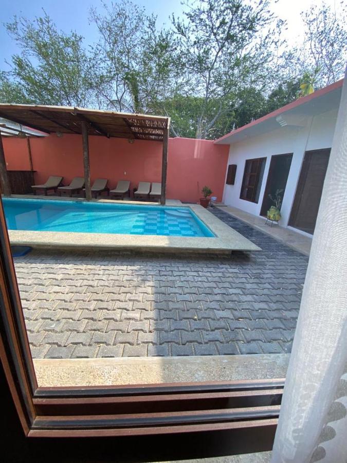 بويرتو إسكونديدو Casa Suites Minizoo المظهر الخارجي الصورة