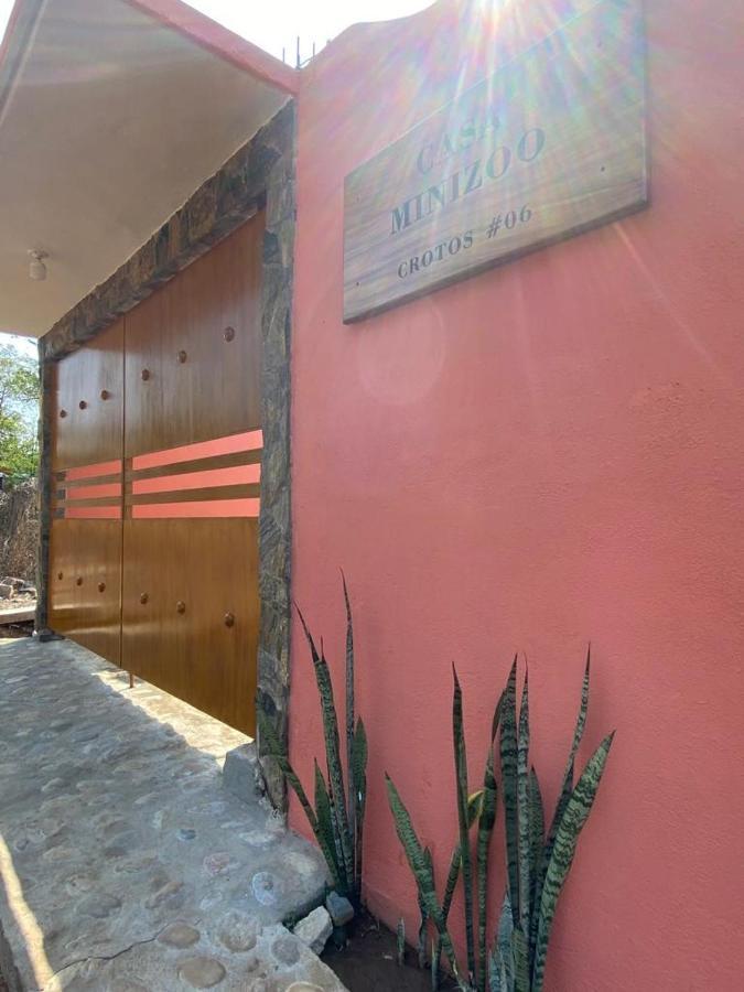 بويرتو إسكونديدو Casa Suites Minizoo المظهر الخارجي الصورة