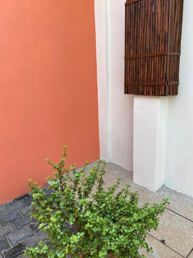 بويرتو إسكونديدو Casa Suites Minizoo المظهر الخارجي الصورة