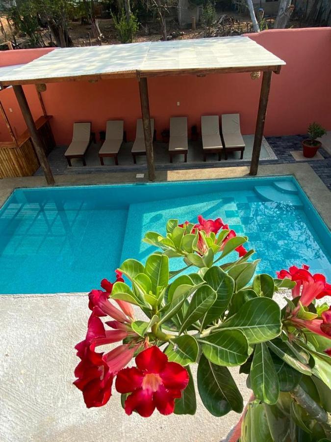 بويرتو إسكونديدو Casa Suites Minizoo المظهر الخارجي الصورة