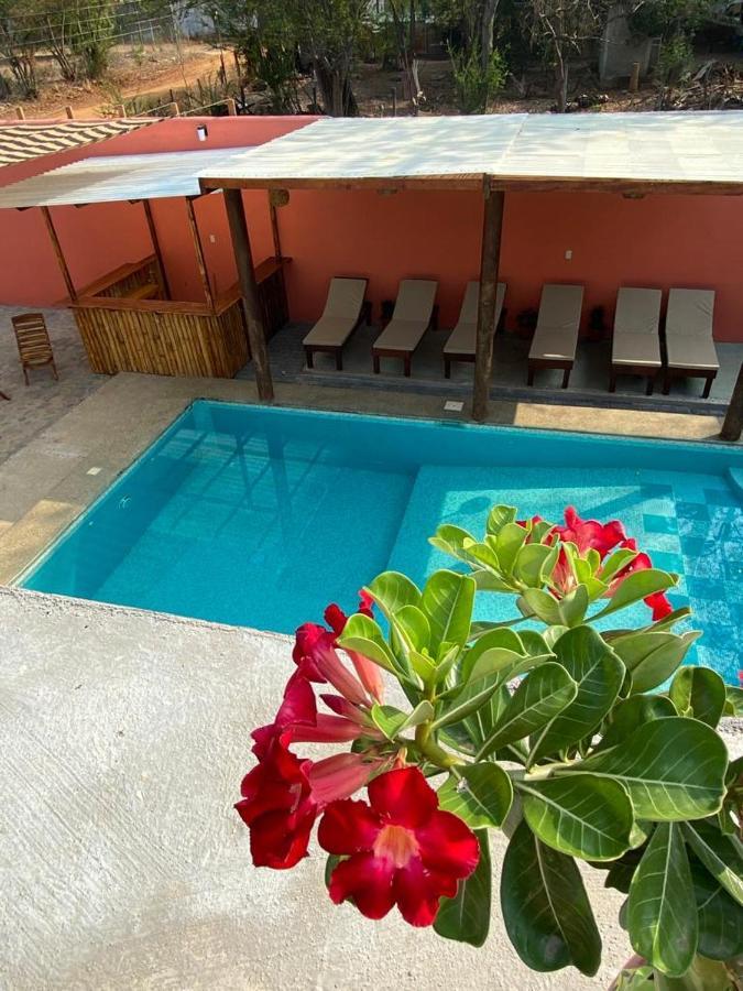 بويرتو إسكونديدو Casa Suites Minizoo المظهر الخارجي الصورة